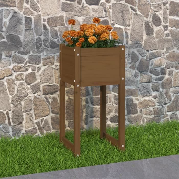 BLL Jardinière D'extérieur Marron Miel 31x31x70 Cm Bois De Pin