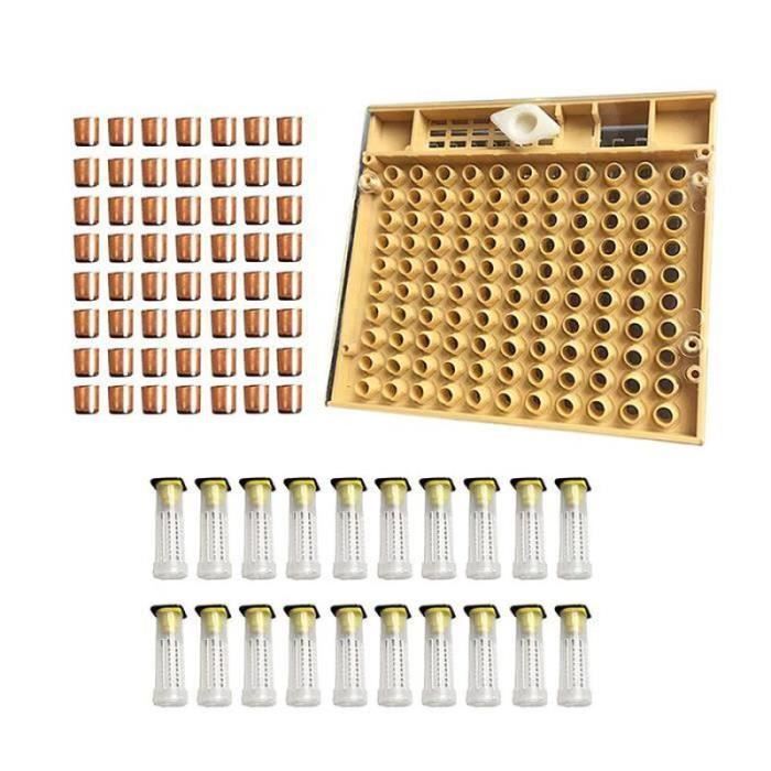 Ceinture D'apiculteur En Cuir Véritable – 5 Poches Intégrées, Réglable Tour De Taille 110-115 Cm – Pour Outils (balai, Wabenhebe, Etc.)