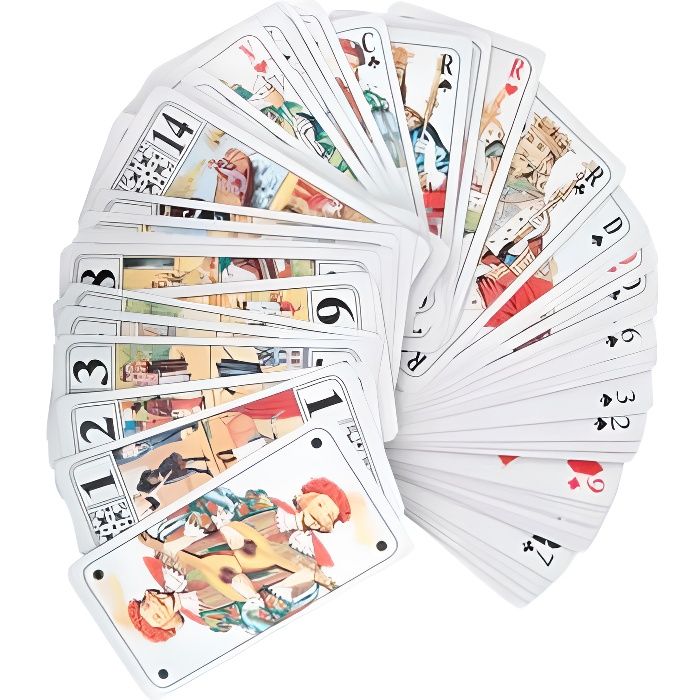 Jeu de Tarot traditionnel 78 Cartes plastifiées et lavables avec règle du jeu FR 