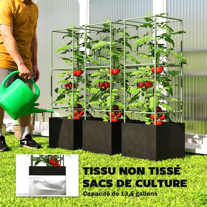 Mousse pour fleurs - vert - VETAN
