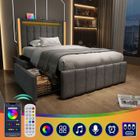 TRUXEN Lit simple 90 x 200 cm avec éclairage LED et 2 tiroirs,lit coffre pour adulte enfant avec USB Type C et sommier à lattes,gris