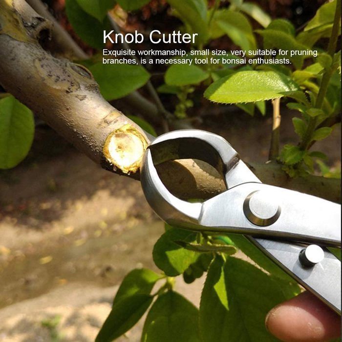 Sécateur Bonsaï Concave – Branche Acier Inoxydable – Coupe De Précision Pour Jardinage – Longueur 210 Mm