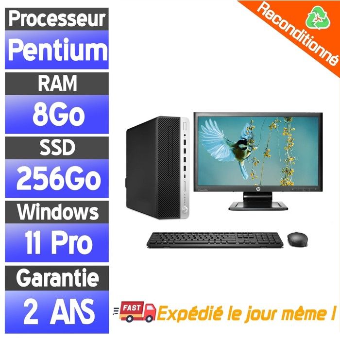 Pack Ordinateur Fixe HP ProDesk 600 G3 SFF 8Go RAM SSD 256Go Pentium G4400 Écran 22 Maison Bureau - Hewlett packard
