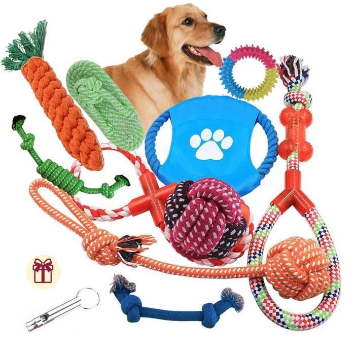 Jeux pour chien indestructible clearance