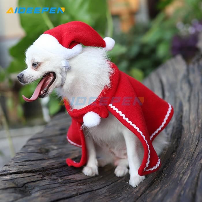 Vetement pour shop chien noel