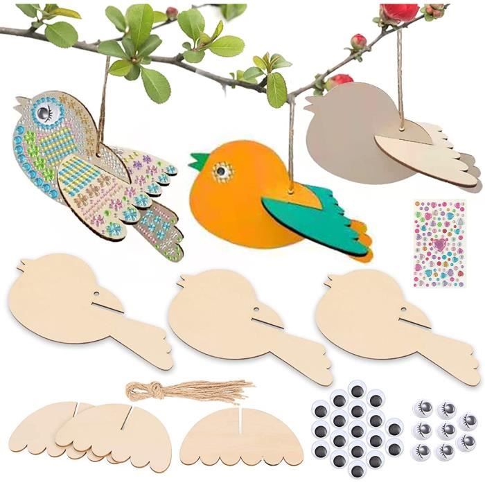 Tacobear 3 Pièce Maison D'oiseau Bricolage Kit pour Enfant Construire Maison  Oiseau en Bois Maison D'oiseau Peindre Jouet Kit de Loisir Creatif  Activites manuelles pour Enfant Garçons Filles : : Jeux et