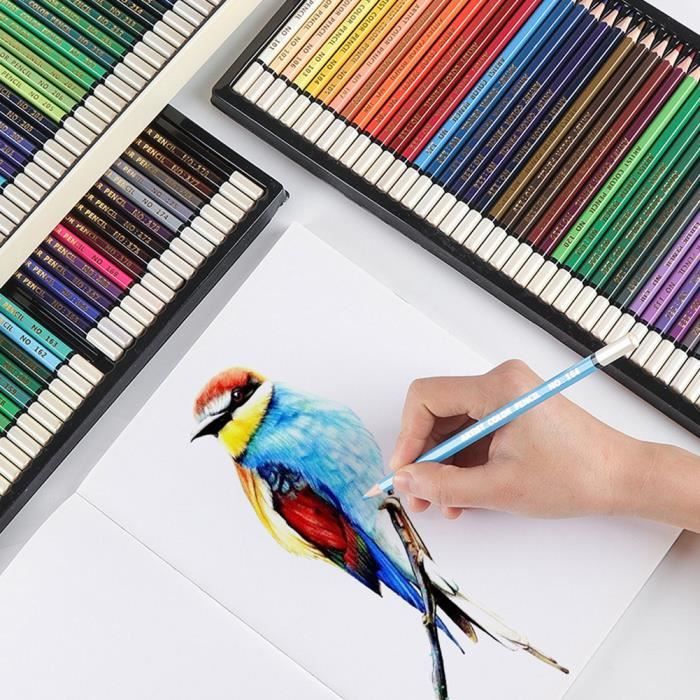 DAKLUNAR Lot de 20 Étuis de Crayons de Couleur Avec 6 Crayons Chacun - Rouge, Jaune, Marron, Vert, Bleu, Noir - Multicolores en Bois Pour le Dessin