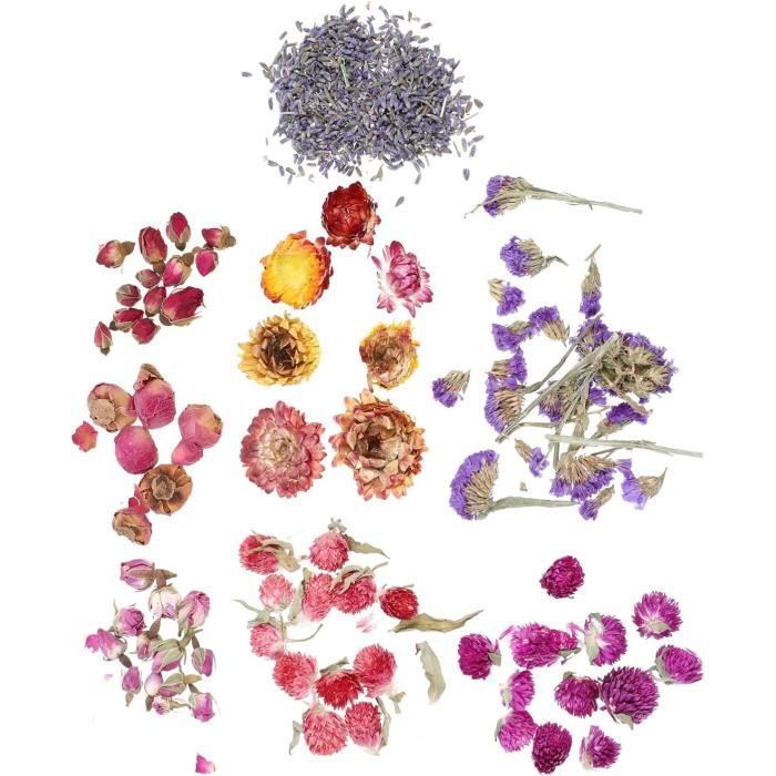 Bouquet De Fleurs Séchées - 50 Tiges De Marguerites Orange - Décoration Naturelle Pour Vase Ou Tableau