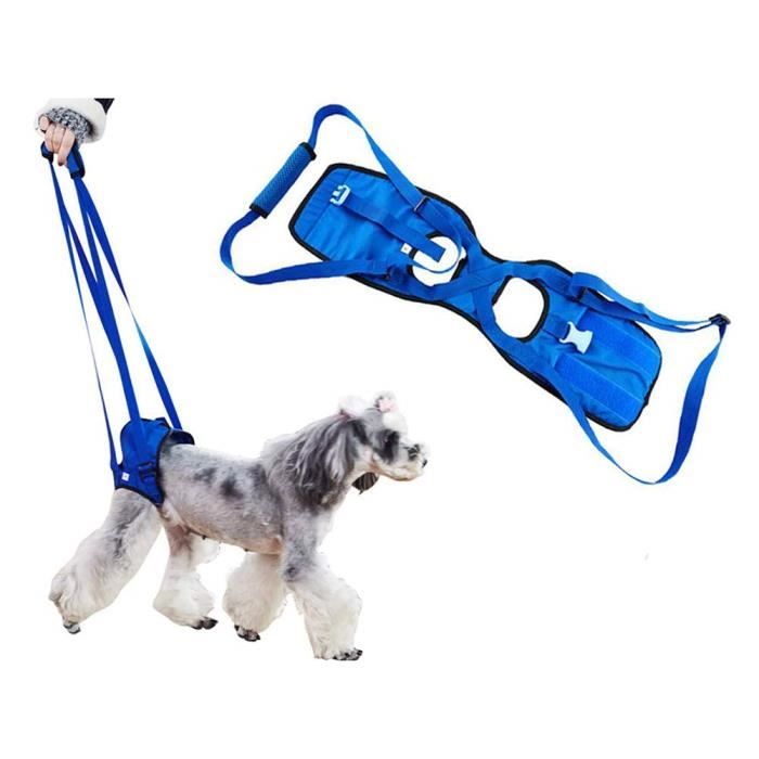 M899 Harnais De Readaptation De Soutien Pour Chien D Ascenseur Aide D Assistance Canine Pour Les Vieux Chiens Handicapes Handicapes Cdiscount