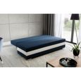 Canapé en lit Convertible avec Coffre de Rangement 3 Places Relax - en Tissu et Simili Cuir -Walia (Bleu Marine+Blanc)-2