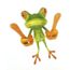 Cunibert 3d Ralaude Grenouille Drole Voiture Autocollants Camion Fenetre Autocollants Graphiques Wsma Cdiscount Auto