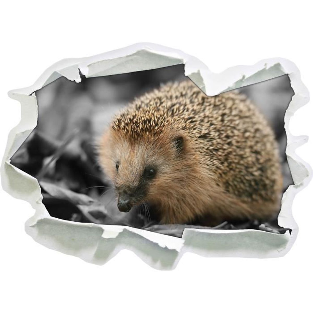 Sticker Noir Herisson Cdiscount