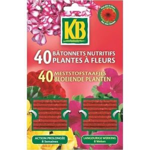ENGRAIS KB Bâtonnets nutritifs plantes fleuries