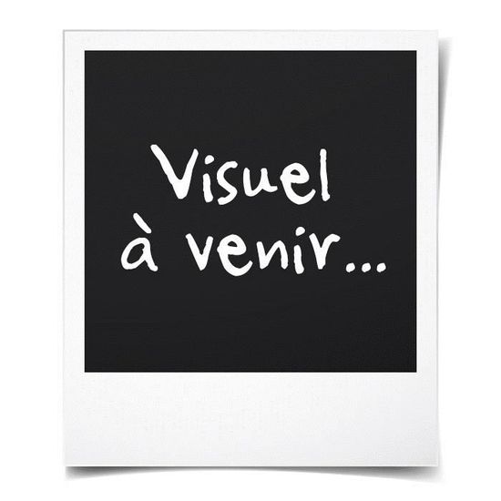 Compagnon Maths Cp Guide De L Enseignant E Achat Vente Livre Parution Pas Cher Bientot Le Black Friday Cdiscount