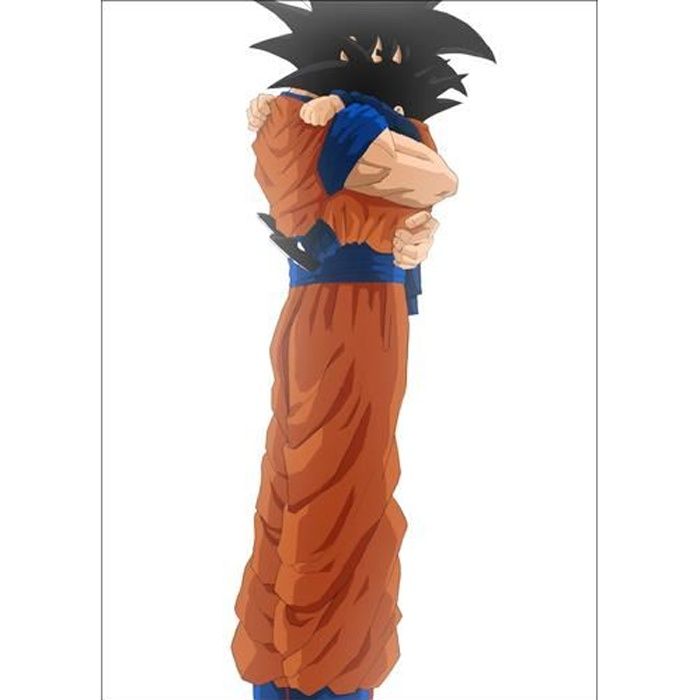 Cadre déco plexiglas - Plastique - Noir MK DRAGON BALL Z PREND SOIN DE TA MERE
