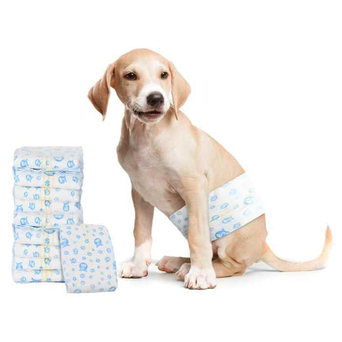 [84225]Protection Hygiénique Jetable pour Chien Mâle 30 pcs Blanc LPoids:1.11 Kg