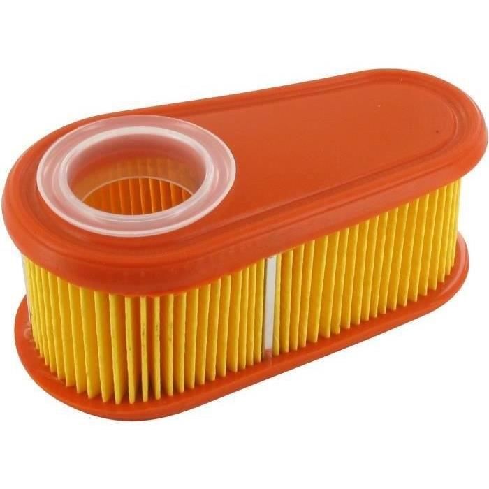 Filtre à air BRIGGS ET STRATTON 796254 - 795066