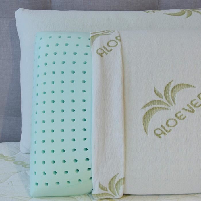 Lot de 2 Oreillers 60x60 cm - Tissu Aloe-Vera Frais - Soulagement de la  Pression - Coussin Doux et Rafraîchissant - Rembourrage Copeaux de Mousse  HR