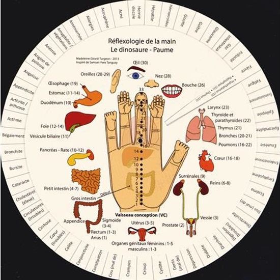 Reflexologie De La Main Cdiscount Librairie