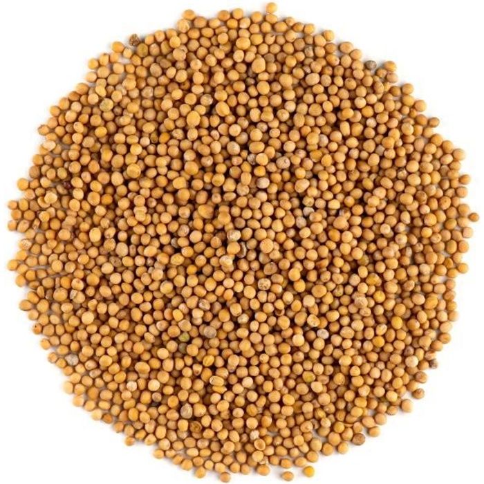 Graine De Moutarde Jaune - Graines De Moutardes Blanche 200g