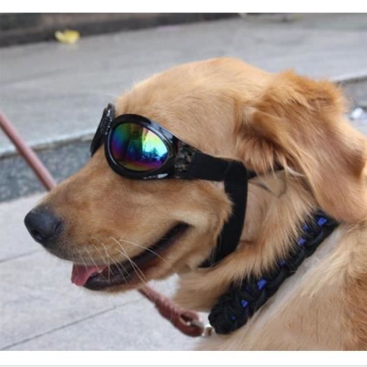 Pet Dog Lunettes de soleil UV Lunettes Lunettes Protection Lunettes de soleil
