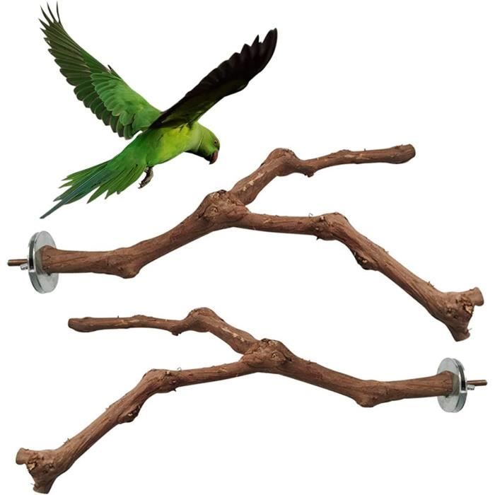 Jeu pour Perroquet en Bois - Support d'oiseau Cage Formation Perche  d'oiseau - Perchoirs d'arbre en Bois réutilisables et Portables, Support