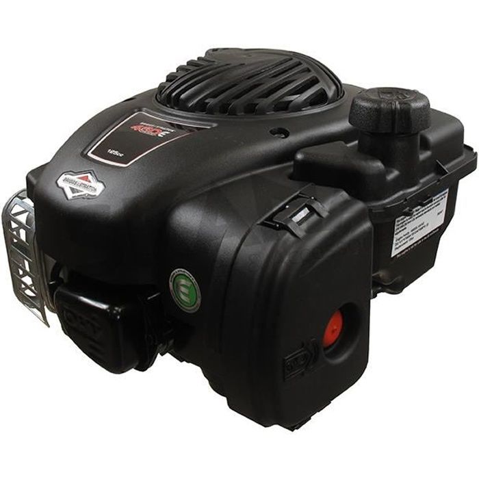 MOTEUR BRIGGS STRATTON SERIE 300 E OHV 125 CC ubicaciondepersonas