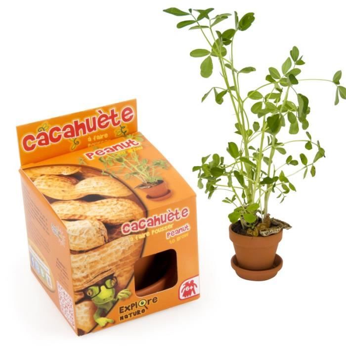 cachu-tes-semer-explore-nature-0-000000-mini-pot-de-culture