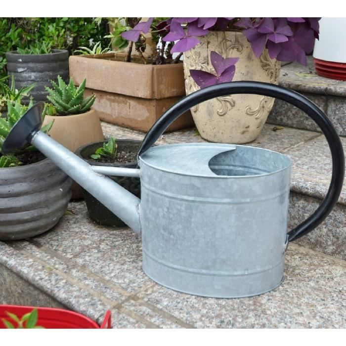 Arrosoir En Métal Harilla 5 Litres - Bec Amovible, Poignée Acier Inoxydable, Design Anti-fuites, Blanc