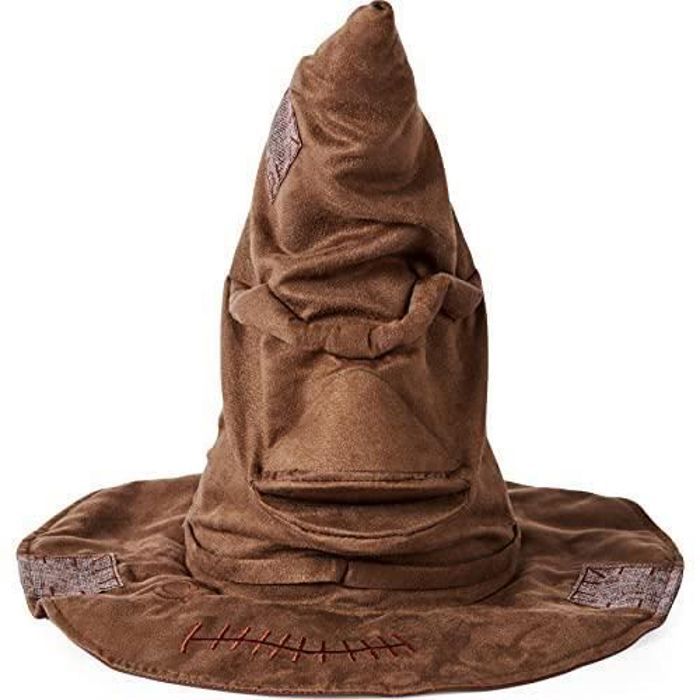 Accessoire - SpinMaster - Chapeau de tri Harry Potter - Marron - Plastique - Intérieur