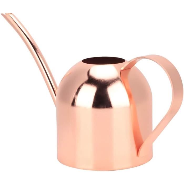 Omabeta Arrosoir D'intérieur Mini Arrosoir En Acier Inoxydable De 400ml