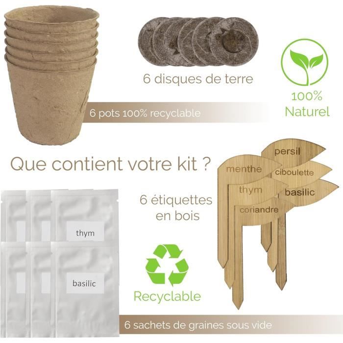 Kit Prêt à Pousser Basilic - Bouteille Recyclée Avec Terre Et Graines Bio, Pour Aromates Maison Sans Jardin