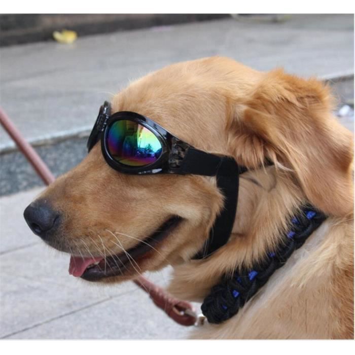 Etui à lunettes vertical pour amoureux des animaux, lunettes de soleil,  poudres, lunettes personnalisées, mode de lecture, chiot Dachshund, chien