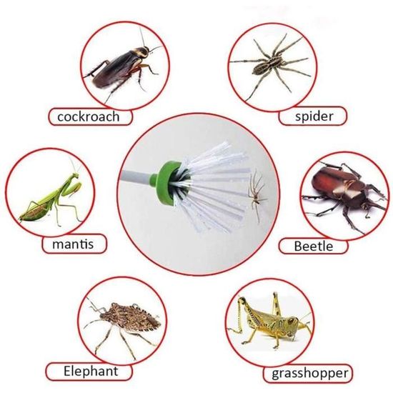 Attrape Araignée - Capture d'Insectes - Long Manche 40cm - Cdiscount Jardin