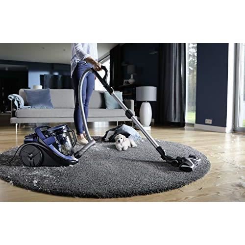 Aspirateur traîneau rowenta silence force sales