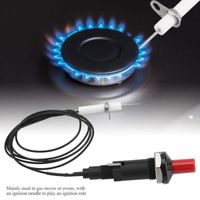 Allumeur à gaz piézo-électrique 1 kit d'allumage à étincelle 1 sur 2 à bouton-poussoir pour barbecue cuisinière à gaz