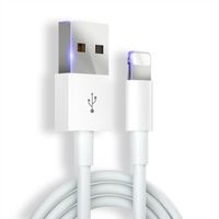 2M Câble de données USB pour iPhone chargeur rapide câble de charge pour iPhone 7 8 Plus X XS XR  SE 6 6S fil de chargeur pour iPad