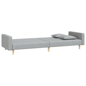 CANAPÉ FIXE ZHU Canapé-lit à 2 places avec deux oreillers gris