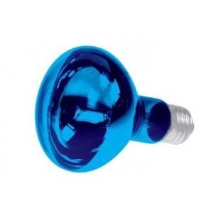SPOT COULEUR DISCO - BLEU 60W - R80