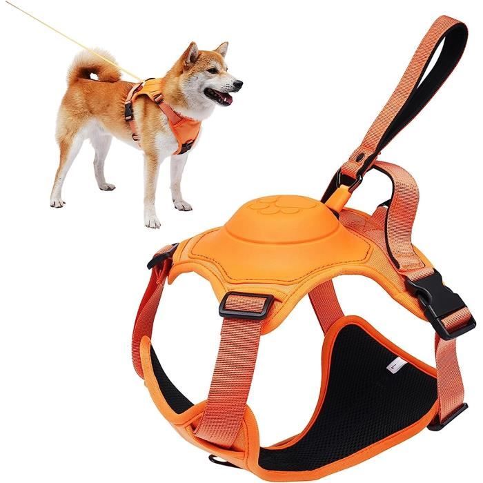 Meilleurs prix pour Harnais Anti Traction pour Chien - LECOO - Orange XL - Rétractable - Extérieur