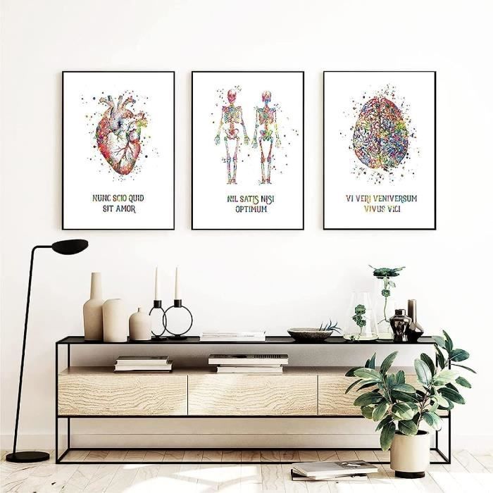 Abstrait Corps Humain Anatomie Affiche Impression sur Toile Tableau