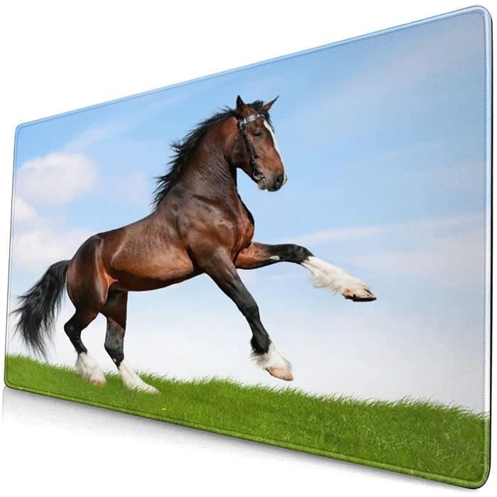 Grand Tapis De Souris Cheval De La Nature Sur L Herbe Imprimer Pour Bureau Jeux Maison Cadeau Parfait 900x400mm 534 Cdiscount Informatique