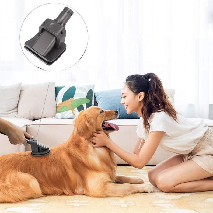 Brosse d'aspirateur pour poils de chiens et animaux universel : accessoire, Accessoires pour aspirateurs