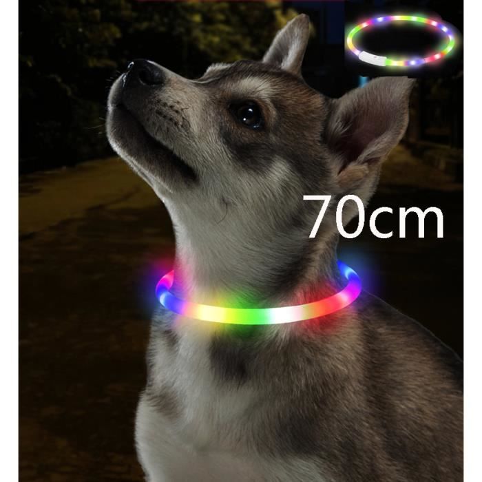 collier pour chien led sécurité lumineux rechargeable usb 200mah ajustable 70cm