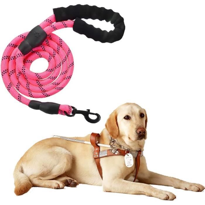 Meilleurs prix pour Laisse pour Chien en Nylon Réglable Solide Haute Qualité Réfléchissant 150cm - MINGMEI - Pour le transport
