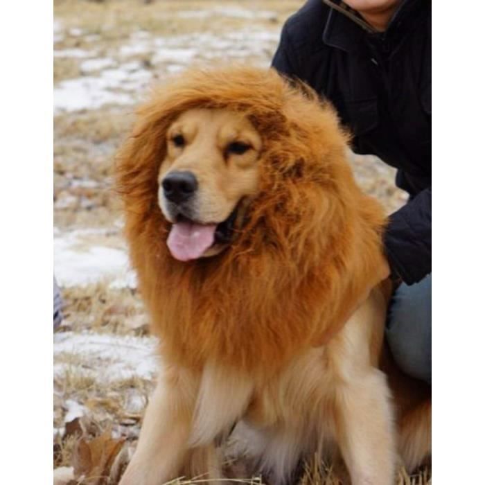 Perruque Lion Cheveux Criniere Pour Grand Chien Chat Domestique Deguisement De Soiree Halloween Noel Brun Clair M274 Cdiscount Perruque Lion Cheveux Criniere Pour Grand Chien Chat Domestique Deguisement De Soiree Halloween Noel Brun Clair M274 Cdiscount