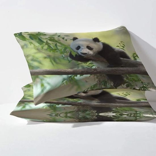 Housse de Couette 150x200 Panda Parure de Lit Imprimée 3D Housses de  Couettes Panda avec 2 Taies D'oreiller 65x65cm - Cdiscount Maison