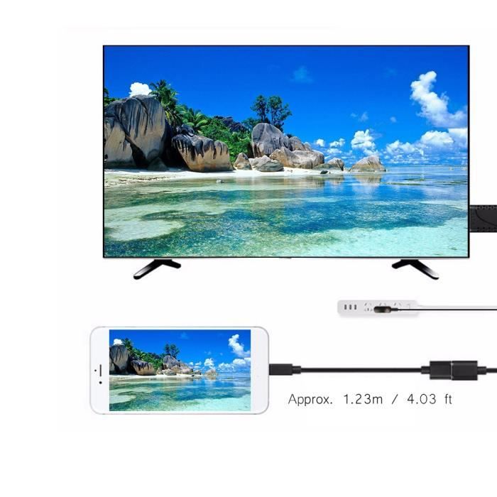 Vvikizy Adaptateur Mâle D'interface Multimédia De Type C Femelle Vers