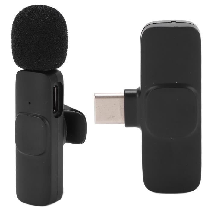 PAR - Micro d'enregistrement audio vidéo portable Microphone