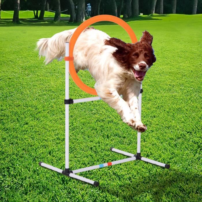 XMTECH Ensemble d'obstacles pour chiens Équipement d'entraînement d'agilité  pour animaux de compagnie, obstacles réglables - Cdiscount Animalerie